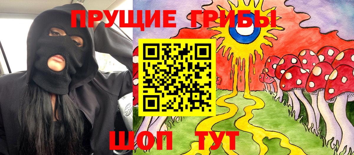 Псилоцибиновые грибы прущие грибы  Вход с VPN  Егорьевск  Псилоцибиновые грибы прущие грибы 
